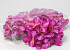 Hydrangea Head D16cm Purple