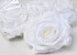 Rose Satin Blanche D11cm 