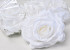 Rose Satin Weiß D11cm 