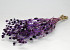 Eryngium Thistles 60cm Purple
