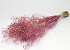 Lepidium Atraxa 60cm Roze