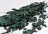 Beukenblad groen 