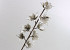 Fleur en mousse Blanc/Gris, D 11cm