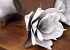 Foam Flower White/Grey, D 16cm