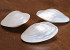 Shell Mother of Pearl 7cm