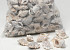 Shells Pennchiman Stone Wash 1kg