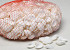 Shells White Chippi Small 1kg