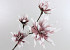 Foam Flower Spray White/Lilac 85cm