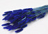 Lagurus Blauw 60cm