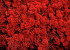 Reindeer Moss Red per kg