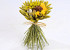 Small Bouquet d10cm Yellow