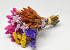 Bouquet de Fleurs Séchées Coloré 25cm