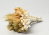 Dried Flower Bouquet White Natural 25cm