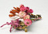 Dried Flower Bouquet Pink Orange 25cm