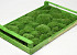 Cushion Moss Forest Green (Crate 38x58cm)