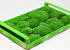 Cushion Moss light Green (Crate 38x58cm)