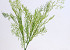 Bambus Blatt 48cm grün