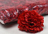 Carnation Red D9cm