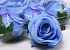 Rose Bleu D9cm
