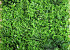 Green Plant Mat 1x1m Mix