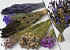 Dried Flower Bouquet Purple XL