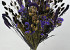 Trockenblümenstrauß Violett XL