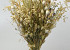 Dried Flower Bouquet Natural XL