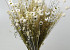 DIY Bouquet de Fleurs Sechées Blanc XL