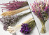 Dried Flower Bouquet White/Pink/Purple XL