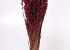 Bouquet Avoine Bordeaux 70cm