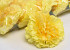 Carnation Yellow D9cm