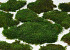 Flat Moss green per kg V2.0