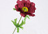 Chrysant Santini 40cm red