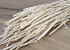 Phleum Bleached 100gr. 