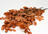 Beech Leaves Orange 80cm