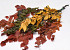 Feuille de Hêtre Mix 80cm 150gr.