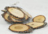 Oak Slices 12-14cm, 15 pieces