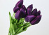 Tulip Purple 50cm 