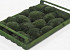 Cushion Moss Dark Green (Crate 38x58cm)