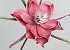 Fleur en mousse Rose Foncé, D 20cm