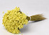 Glixia (50gr) Yellow 30cm