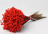 Bouquet Glixia (50gr) Rouge 30cm