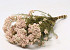 Rice Flower 60cm
