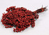 Pepperberries Red 25-35cm