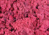 Rendiermos Fuchsia per kg