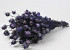 Nigella Paars 45cm
