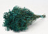 Bouquet Broom Bloom Bleu Petrol 50cm