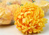 Kunst Chrysant Geel D13cm