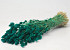 Phalaris Emerald Green 70cm