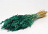 Bouquet Avoine Vert Émeraude 70cm